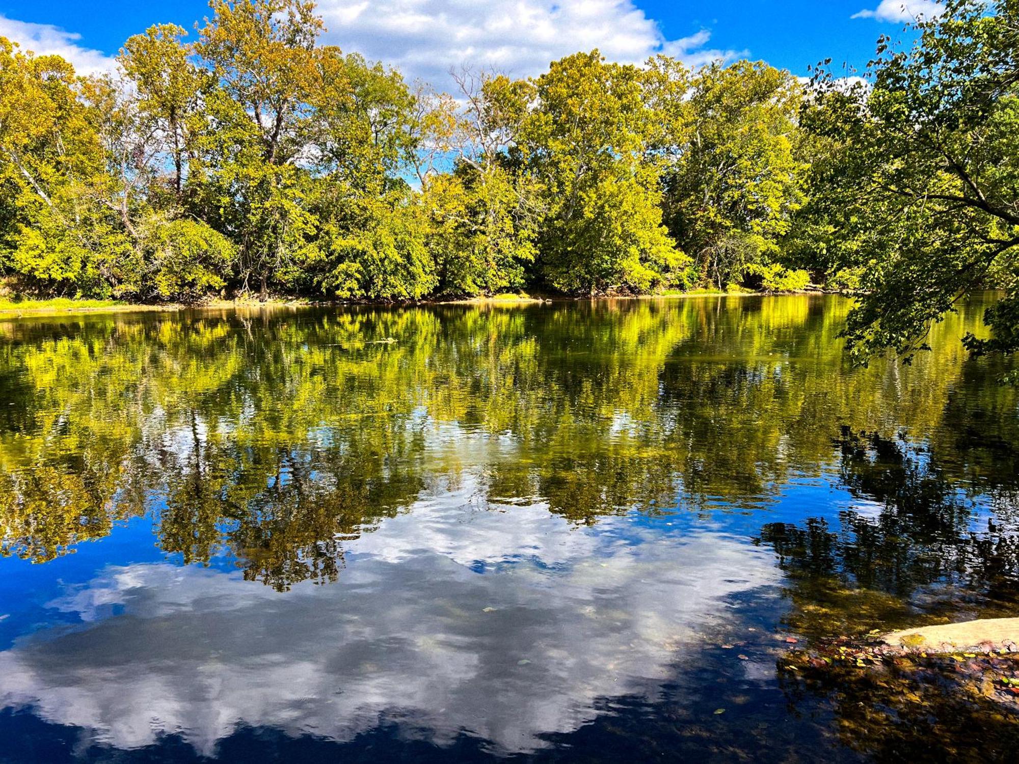 Luray Rv Resort On Shenandoah River Luaran gambar